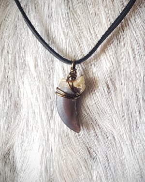 Image of Eurasian Wolf Claw Necklace