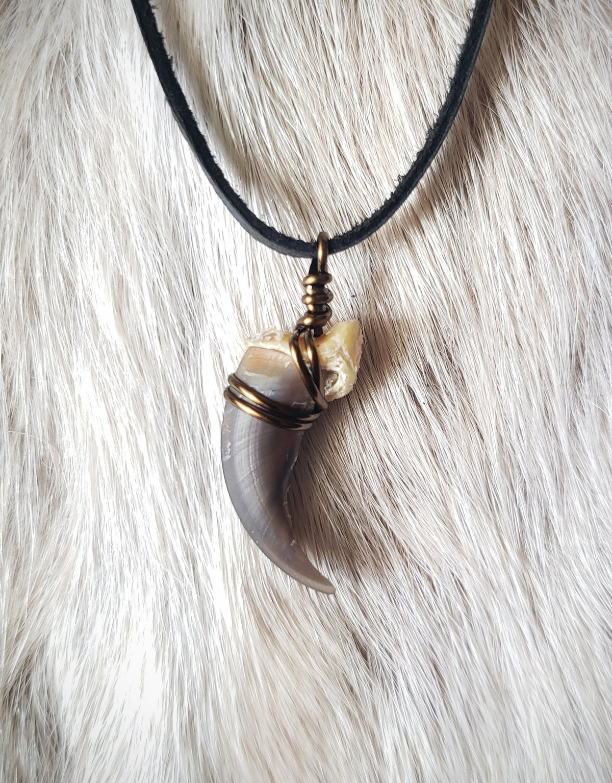 Image of Eurasian Wolf Claw Necklace