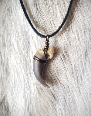 Image of Eurasian Wolf Claw Necklace