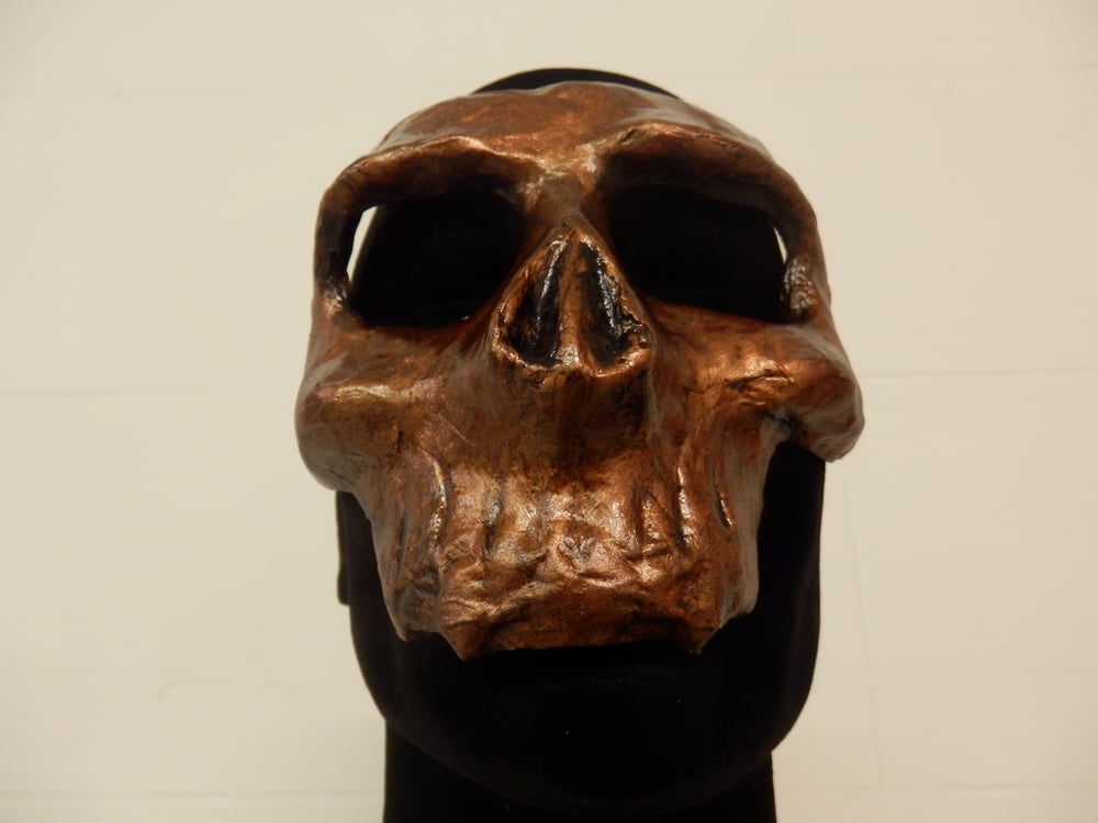 Bronze Skull Mask 