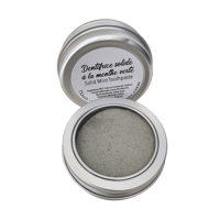 Solid Mint Toothpaste with Metal Case  (70g)