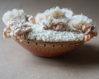 Image 1 of Vessel: Clay Cream