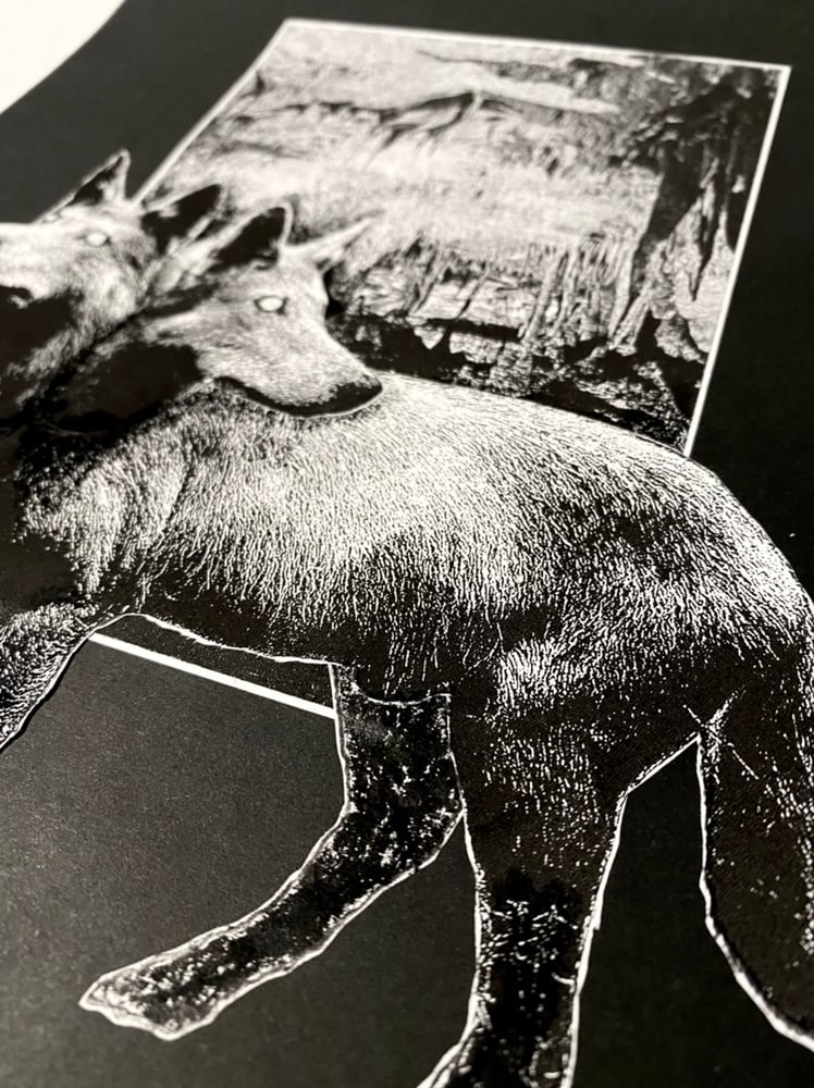 Image of 'orthus' original collage