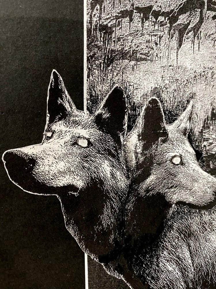 Image of 'orthus' original collage