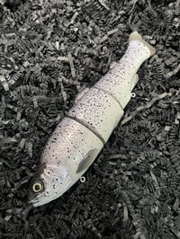 Image 1 of Immortal Trout 7.7 “Gypsy”