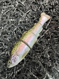 Image 1 of Immortal Trout 7.7 “Electric Trout”