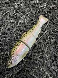 Image 2 of Immortal Trout 7.7 “Electric Trout”