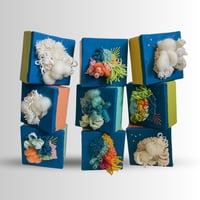 Image 1 of Mini Blocks: Blue