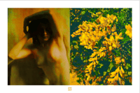 DIPTYCH #3