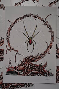 Image 1 of Orb Weaver Print