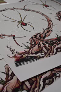 Image 2 of Orb Weaver Print