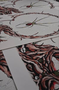 Image 4 of Orb Weaver Print