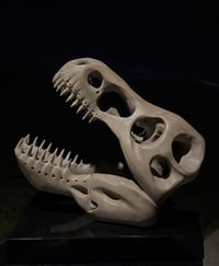 Image 2 of THE TRYANT’S ECHO