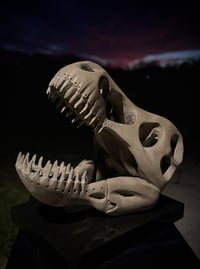 Image 1 of THE TRYANT’S ECHO