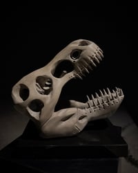 Image 3 of THE TRYANT’S ECHO