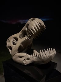 Image 4 of THE TRYANT’S ECHO