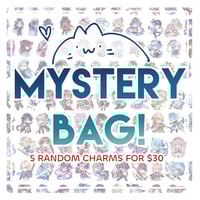 Charms Mystery Bag!