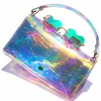 Iridescent Purse and Frames (Set)