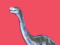 Image 4 of Brachiosaurus Dinosaur 3D Hand Crafted Wooden Wall Hanging Artwork