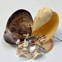 Image 2 of Lampe veilleuse en coquillages vintage bord de mer  années 1950s 1960s