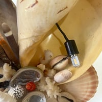 Image 8 of Lampe veilleuse en coquillages vintage bord de mer  années 1950s 1960s