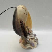 Image 5 of Lampe veilleuse en coquillages vintage bord de mer  années 1950s 1960s