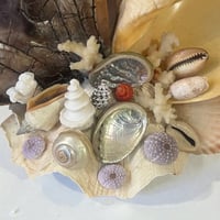 Image 6 of Lampe veilleuse en coquillages vintage bord de mer  années 1950s 1960s