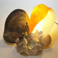 Image 1 of Lampe veilleuse en coquillages vintage bord de mer  années 1950s 1960s