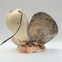 Image 11 of Lampe veilleuse en coquillages vintage bord de mer  années 1950s 1960s