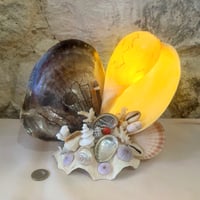 Image 10 of Lampe veilleuse en coquillages vintage bord de mer  années 1950s 1960s