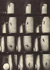 Image 1 of Maria Austria - Maria Austria