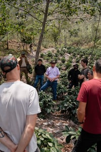 Image 3 of El Choloque - Pérou BIO | FILTRE