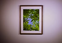 Image 2 of As Above - Framed