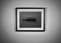 Image 2 of Pre Roll - Framed