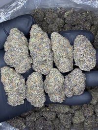 Image 1 of Blue lobster