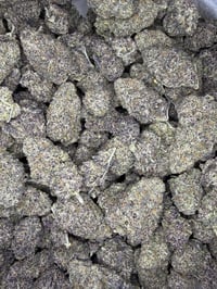 Image 2 of Blue lobster