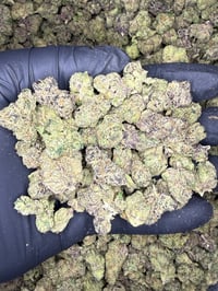 Image 1 of Blue sharpie indoor smalls