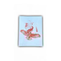 "BORN TO SOAR THE SKY" POSTER MISPRINT