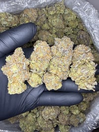 Image 1 of Platinum bubba