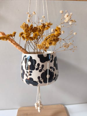 Image of    Pot suspendu feuillage noir 