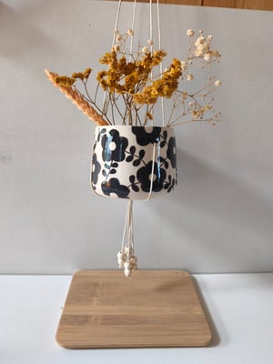 Image of    Pot suspendu feuillage noir 