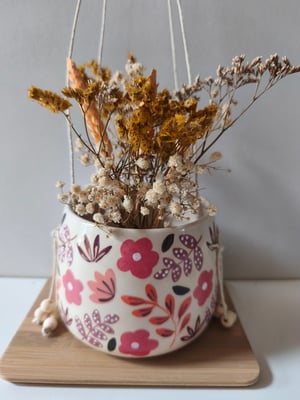 Image of    Pot suspendu feuillage rose