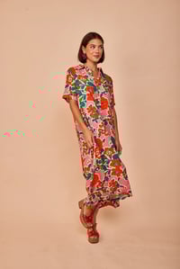 Image 1 of Mono flores rojas fondo rosa