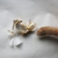 Image 4 of garlic clove in silver 