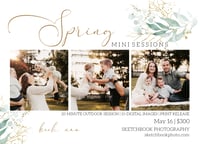 Spring Minis