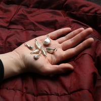 Image 5 of garlic clove in silver 