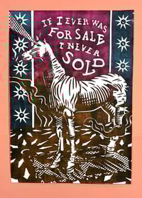 Image 1 of Never Sold