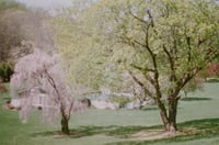 Photo From My First Roll Of Film