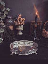 Image 1 of Claw footed tray