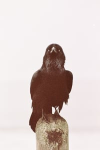 Don't Be Scared 